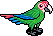 Green Macaw