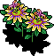 Yellow Passion Flower