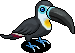 Black-Billed Toucan