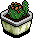 Potted Cactus 1