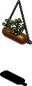 Bottled Herbs