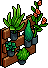 Dark Wall Plants