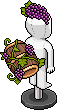Dionysus' Grapes