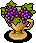 Decadent Grapes