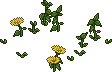 Garden Weeds