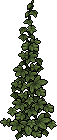 Climbing Weeds
