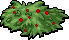 Neopets Bush