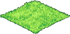 Neopets Grass
