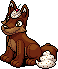 Chocolate Lupe