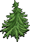 Neopets Spruce