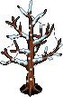Snowy Tree