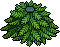 Christmas Tree Body