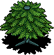 Christmas Tree Base