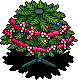 Sweet Tree Base