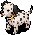 Dalmatian Puppy