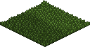 Garden Mowed Grass