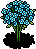 Garden Daisies
