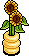 Windowsill Sunflowers
