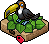 Pet Toucan