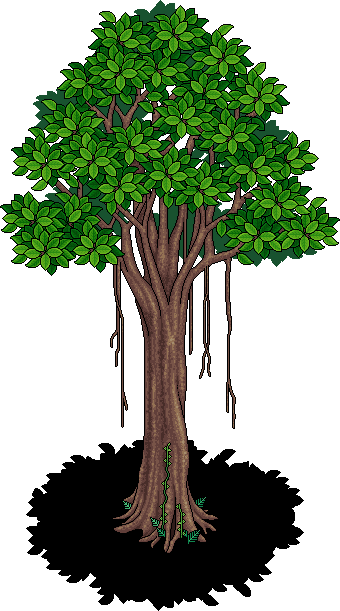 Banyan Tree