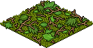 Leaf-Strewn Floor