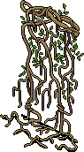 Hanging Vines