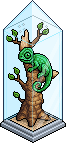Chameleon