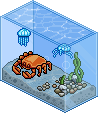 King Crab Tank