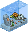 Turtle Tank