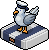 Scallywag Seagull