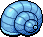 Ocean Conch