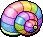 Rainbow Conch