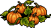 Pumpkin Vines