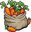 Sack of Carrots