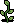 Small Saplings
