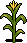 Growing Corn Stalks