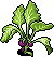 Suspicious Plant