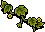 Growing Pumpkin Vines