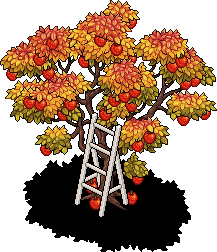 Autumn Apple Tree