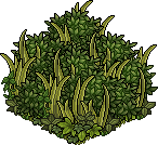 survival_c26_foliagefloor name