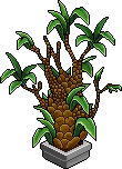 nft_h26_overgrownplant name