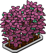 Petalburst Blueberry Bush (Level 55)