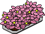 Rosy Strawberry Bush (Level 48)