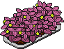 Petalburst Strawberry Bush (Level 48)