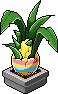 Easter Pineapple Plant