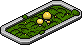 Yellow Canopy Mushroom