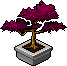 Emberleaf Bonsai