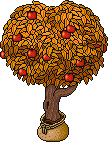 Sacked Apple Tree
