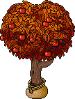Sacked Apple Tree