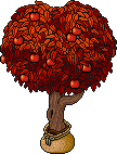 Sacked Apple Tree